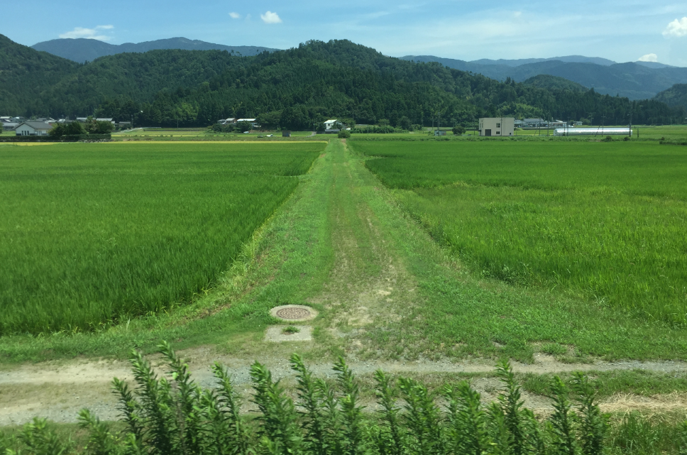 f:id:dr100:20190314083251j:plain