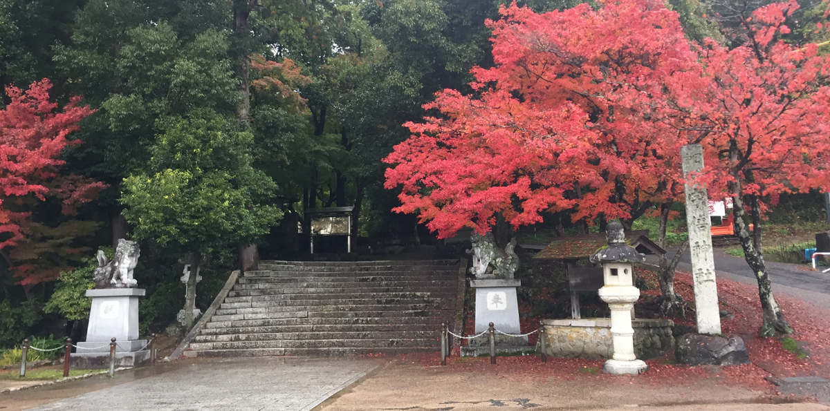 f:id:dr100:20190318075115j:plain