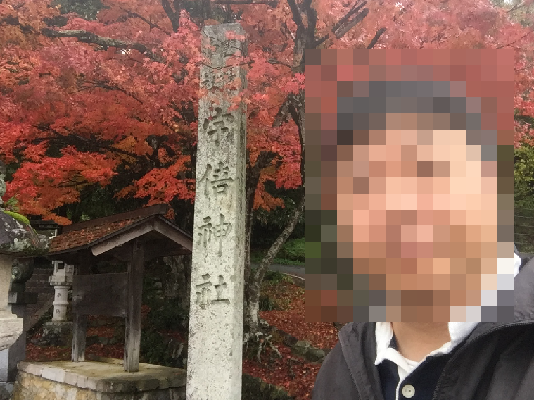 f:id:dr100:20190318075118j:plain