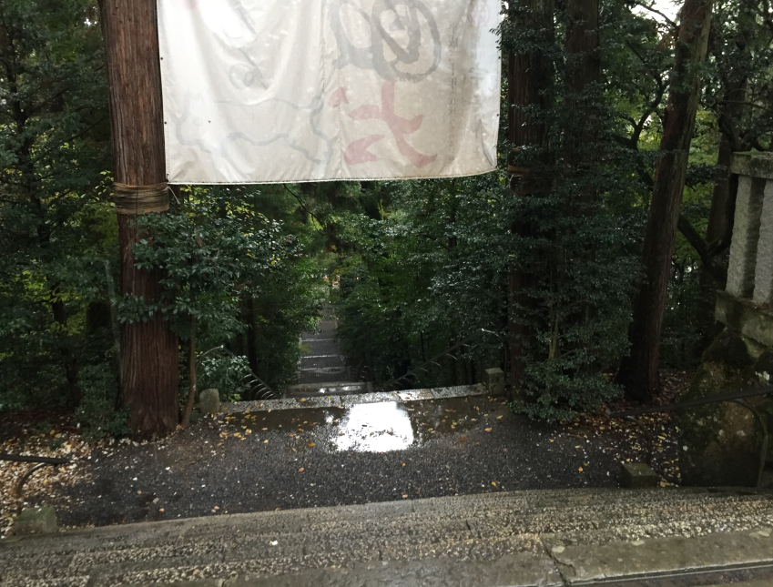 f:id:dr100:20190318075132j:plain