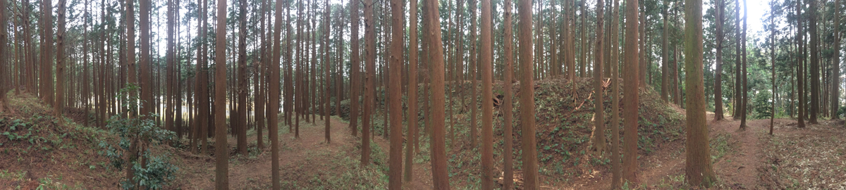 f:id:dr100:20190412201623j:plain f:id:dr100:20190412201623j:plain