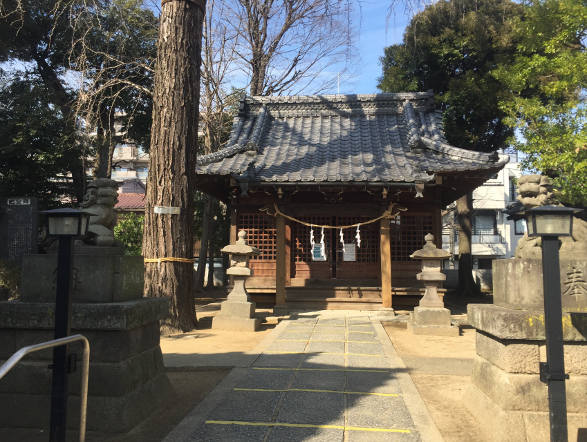 f:id:dr100:20210401080544j:plain