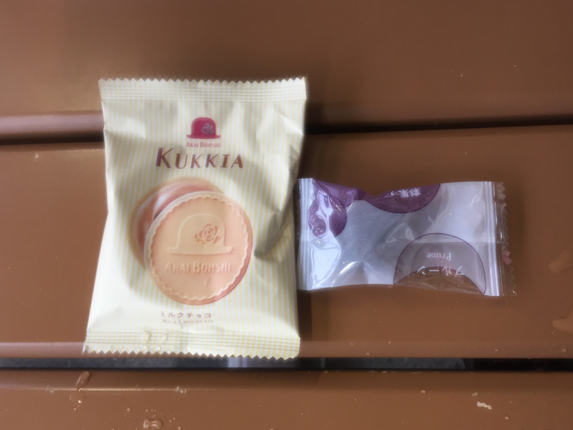 f:id:dr100:20210401082118j:plain