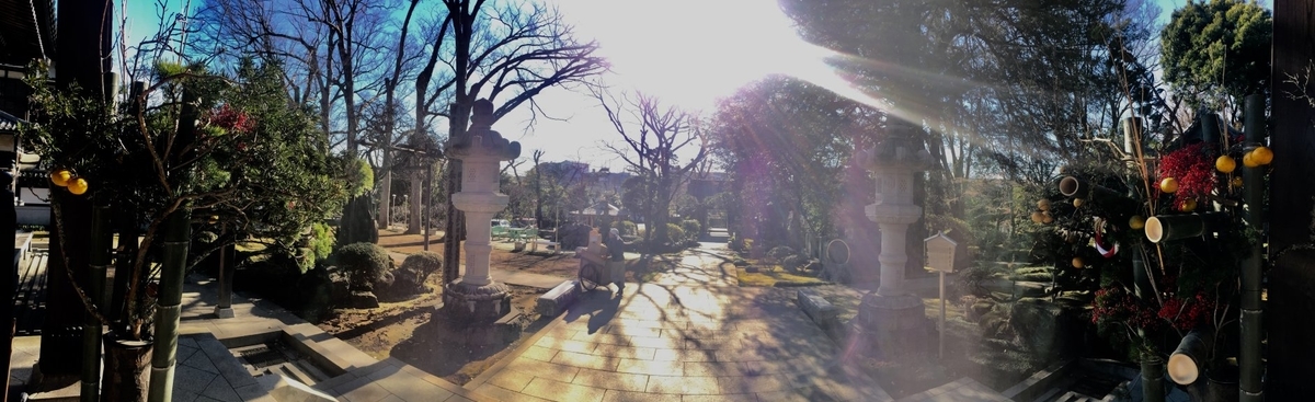 f:id:dr100:20220206180517j:plain