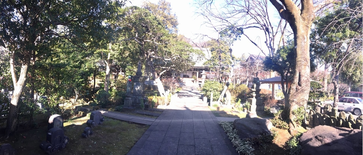 f:id:dr100:20220206180525j:plain