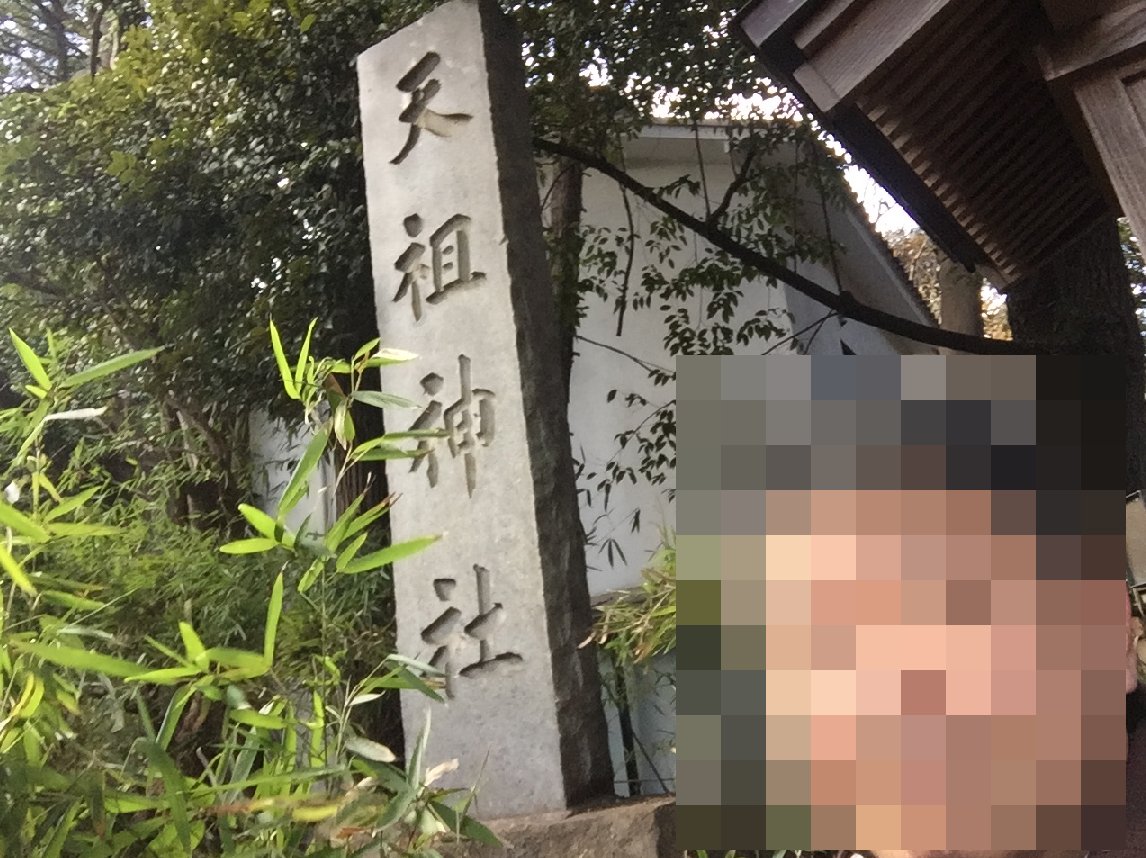 f:id:dr100:20220206180914j:plain