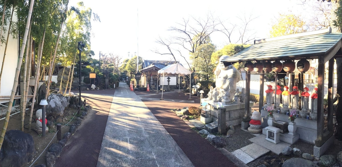 f:id:dr100:20220206181054j:plain