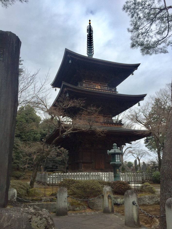 f:id:dr100:20220302171843j:plain