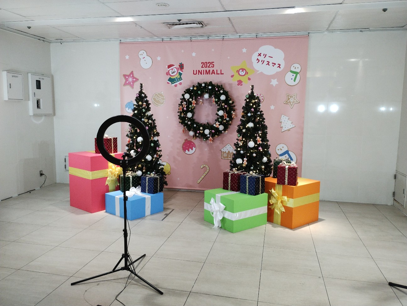 f:id:dragolf:20251221150636j:image