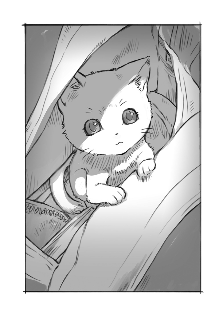 3月5日発売 神猫ミーちゃんと猫用品召喚師の異世界奮闘記 1 特集 レーベルからのお知らせ 3月5日発売 神猫ミーちゃんと猫用品召喚師の異世界奮闘記 1 特集 レーベルからのお知らせ
