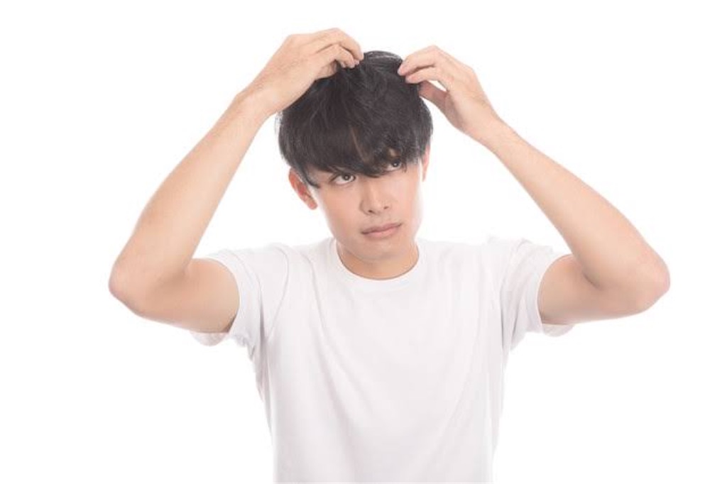 f:id:dragon1101:20200927210035j:image f:id:dragon1101:20200927210035j:image