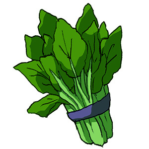 f:id:dragon54rex:20170412204340j:plain f:id:dragon54rex:20170412204340j:plain