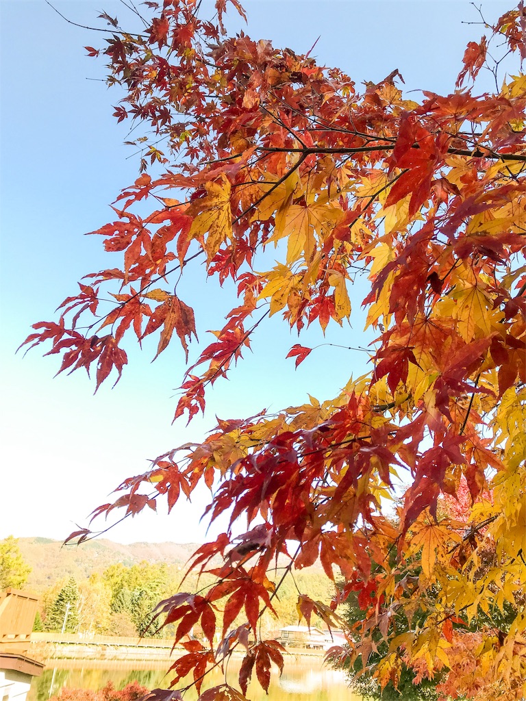 f:id:dragontone:20171031111234j:image
