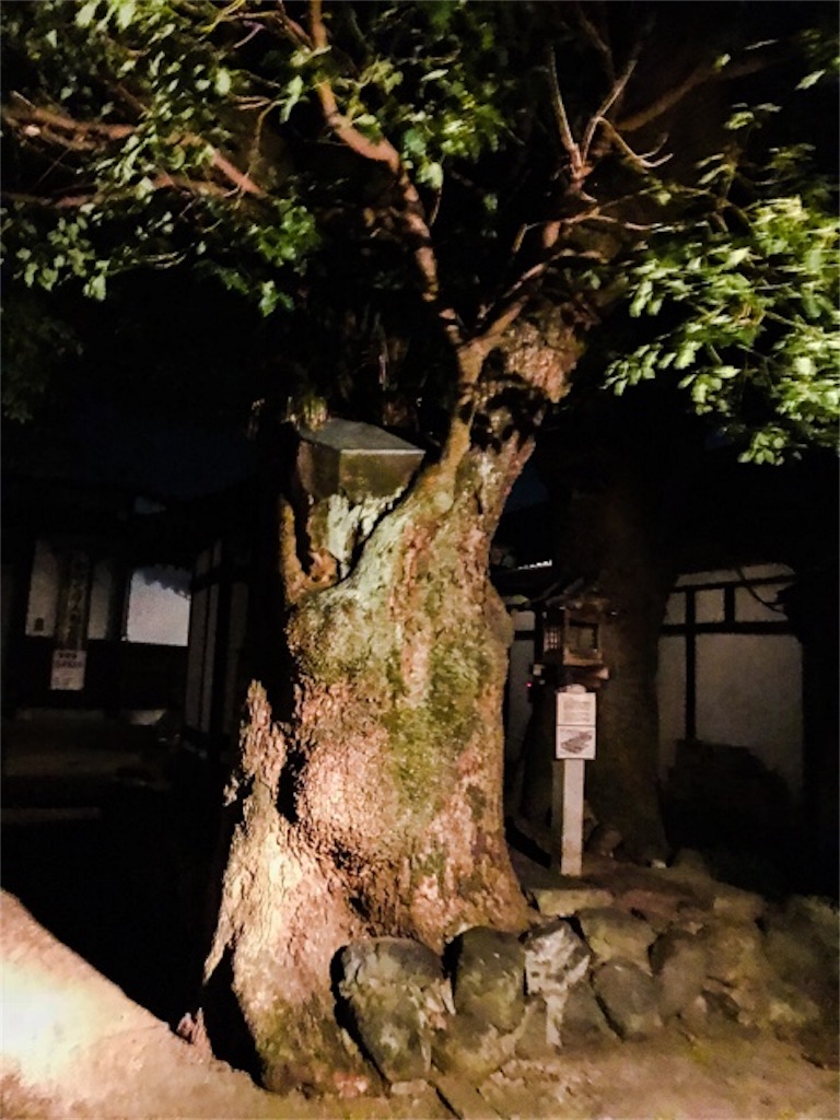 f:id:dragontone:20171221233837j:image