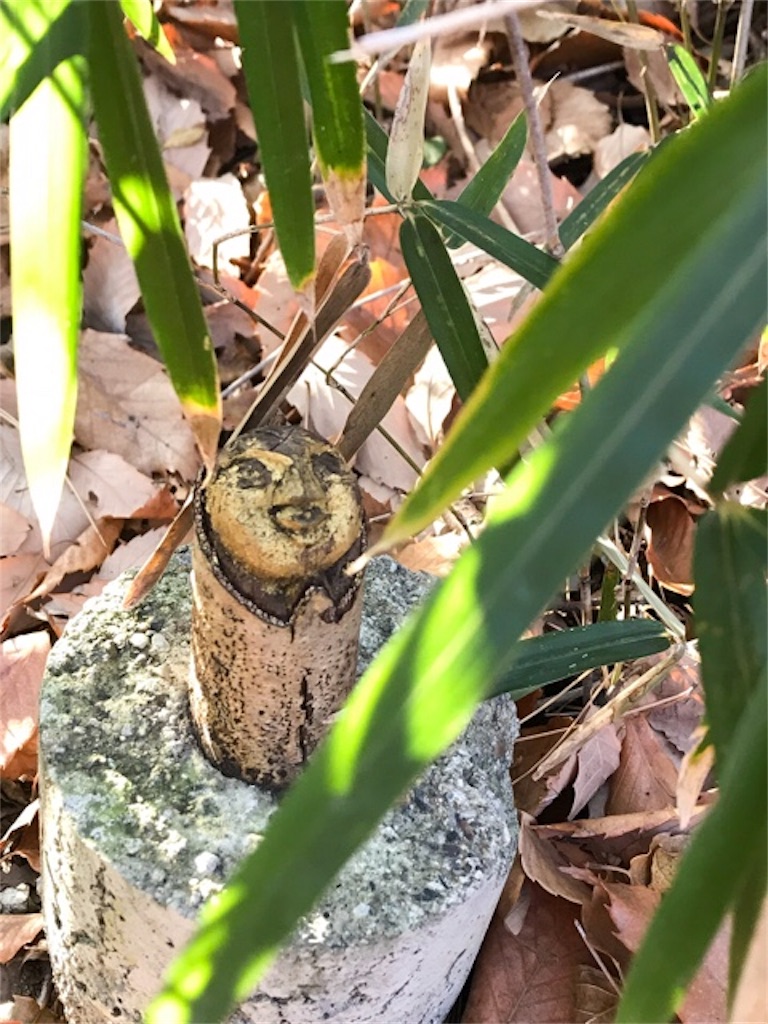 f:id:dragontone:20171230213137j:image