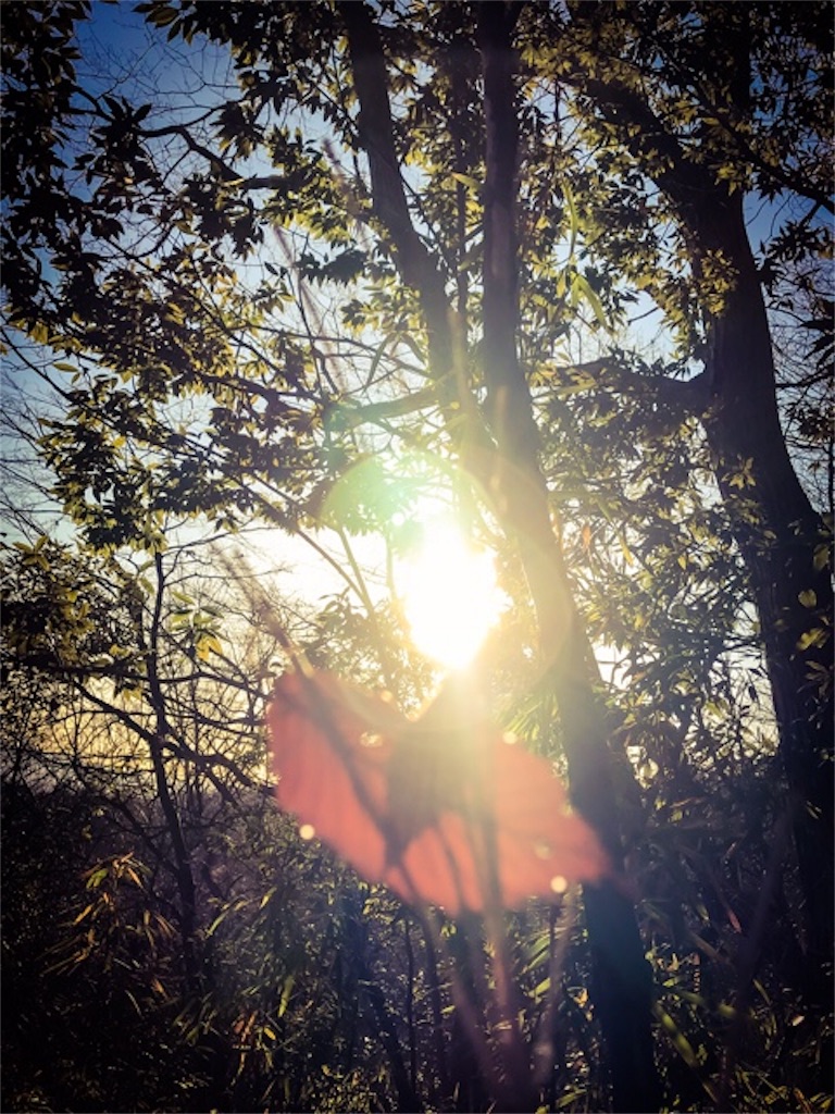 f:id:dragontone:20171230213159j:image