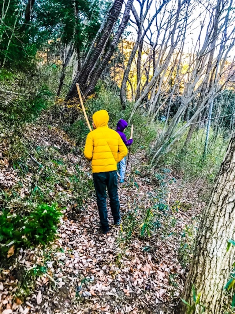 f:id:dragontone:20171230213226j:image