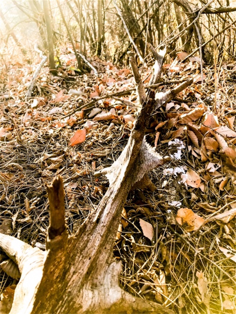 f:id:dragontone:20171230213408j:image