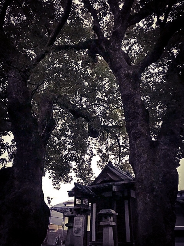 f:id:dragontone:20180202225914j:image