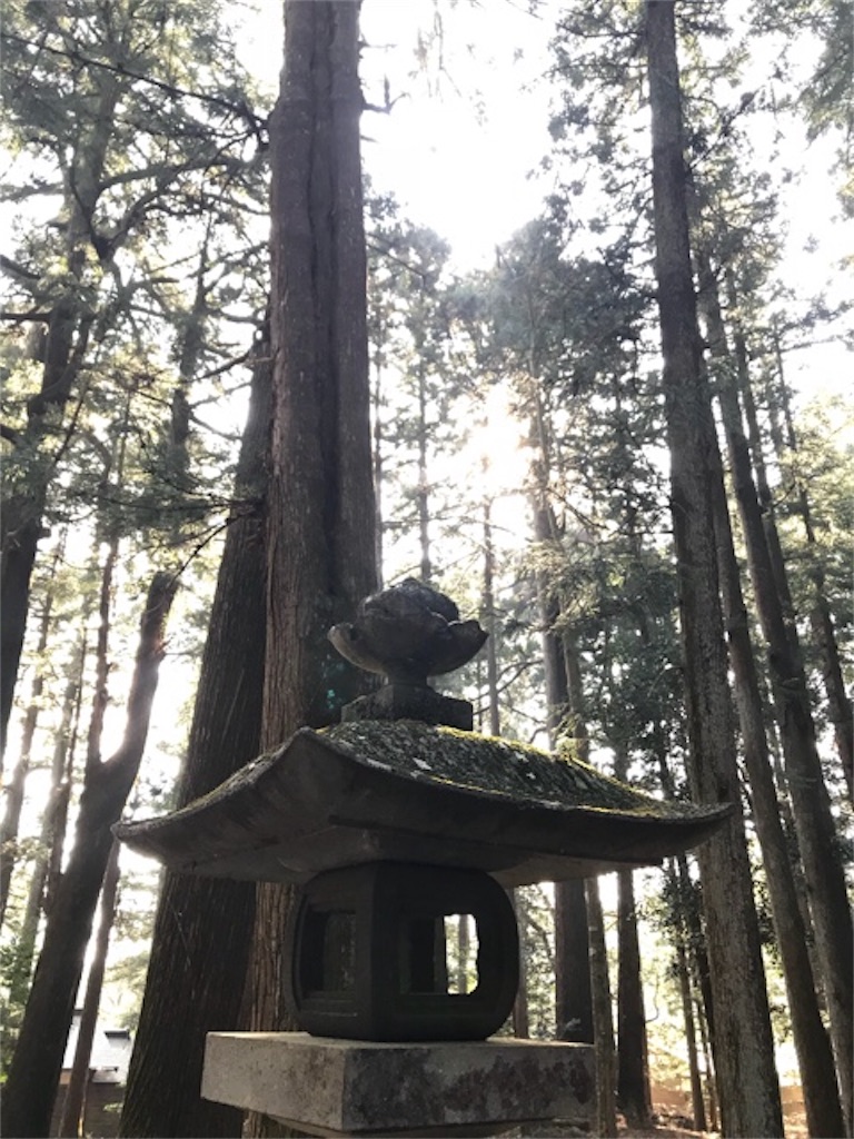 f:id:dragontone:20180315231103j:image f:id:dragontone:20180315231103j:image