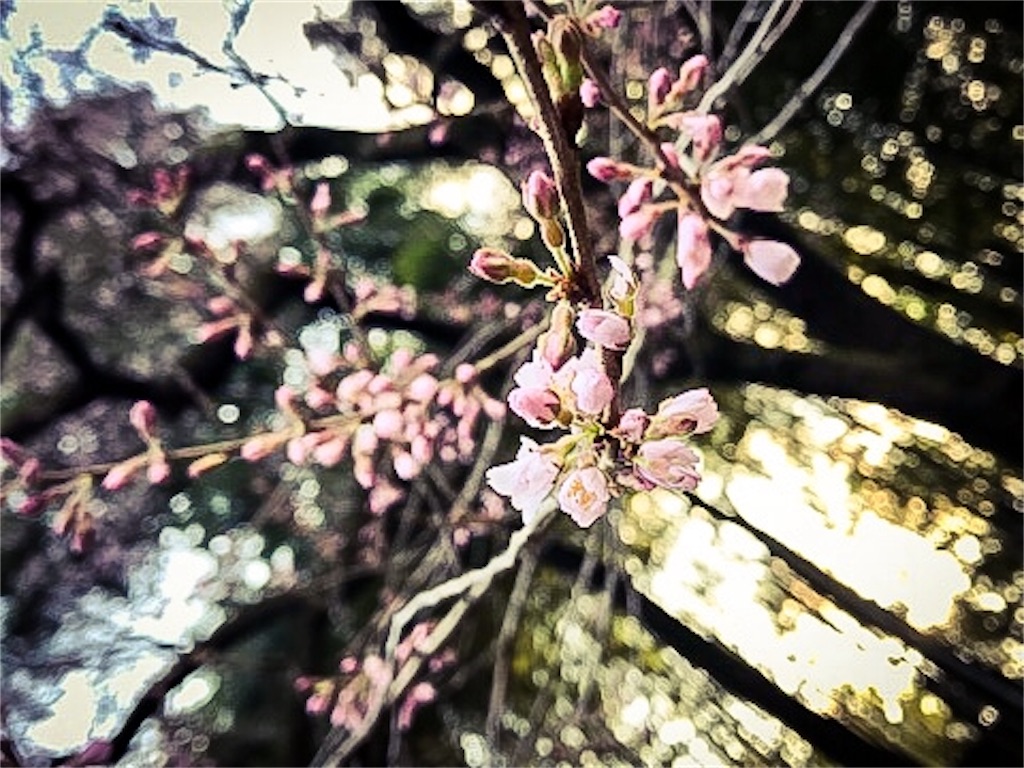 f:id:dragontone:20180323110229j:image