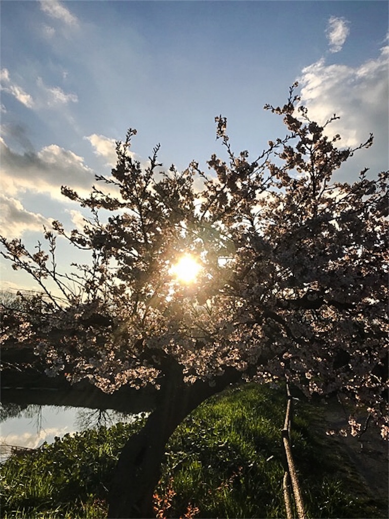 f:id:dragontone:20180323110359j:image