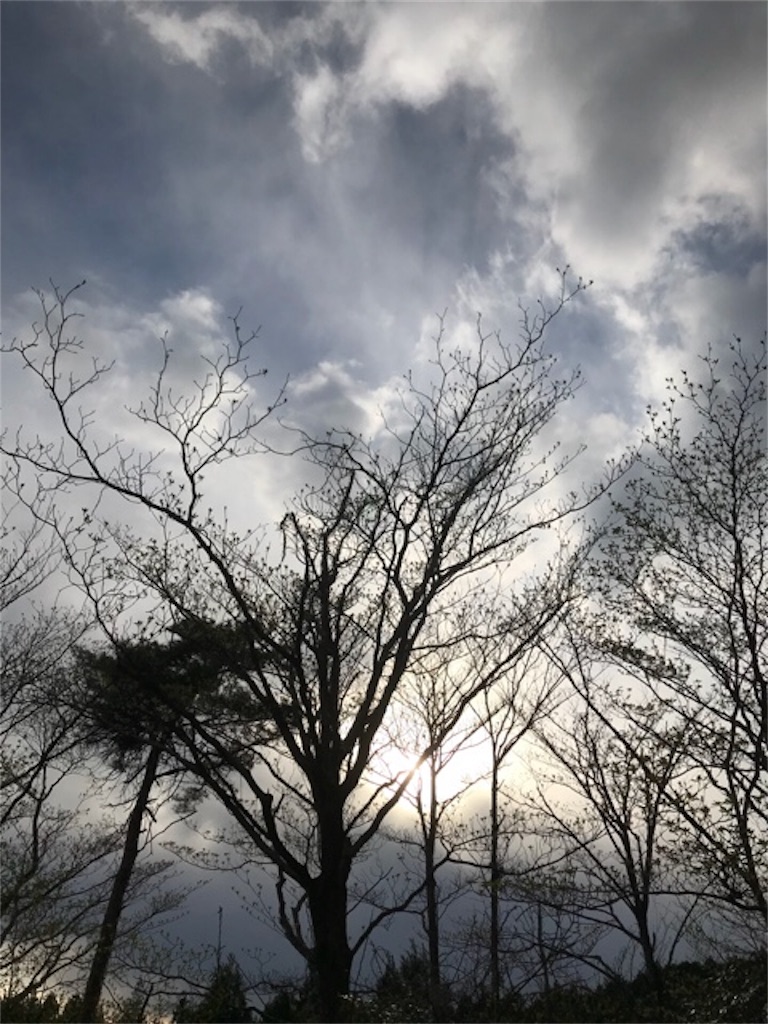 f:id:dragontone:20180408213155j:image f:id:dragontone:20180408213155j:image