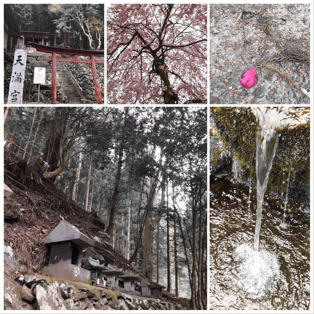 f:id:dragontone:20180412223809j:image
