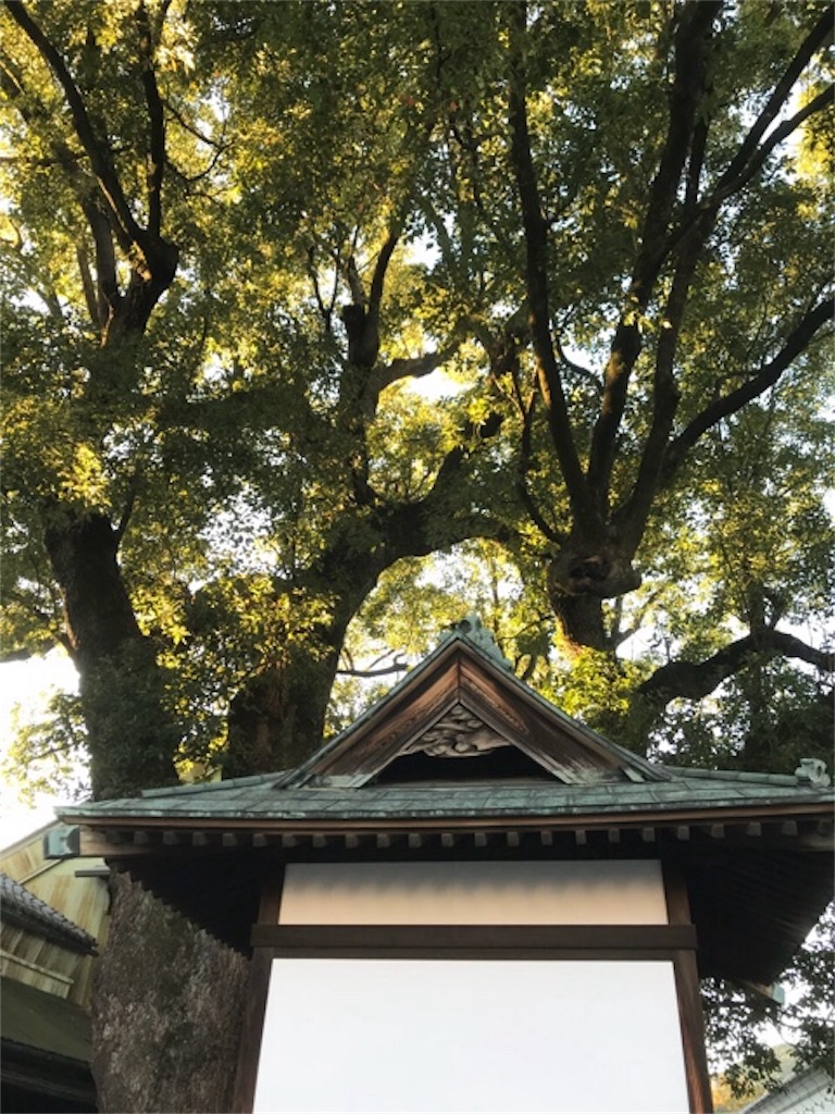 f:id:dragontone:20180413191244j:image
