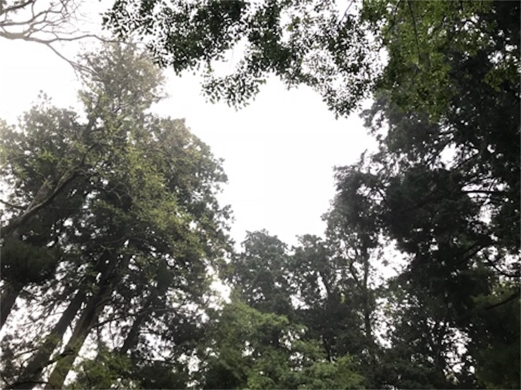 f:id:dragontone:20180503082649j:image