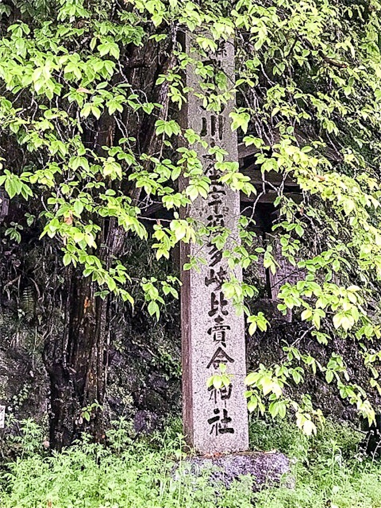 f:id:dragontone:20180503082756j:image