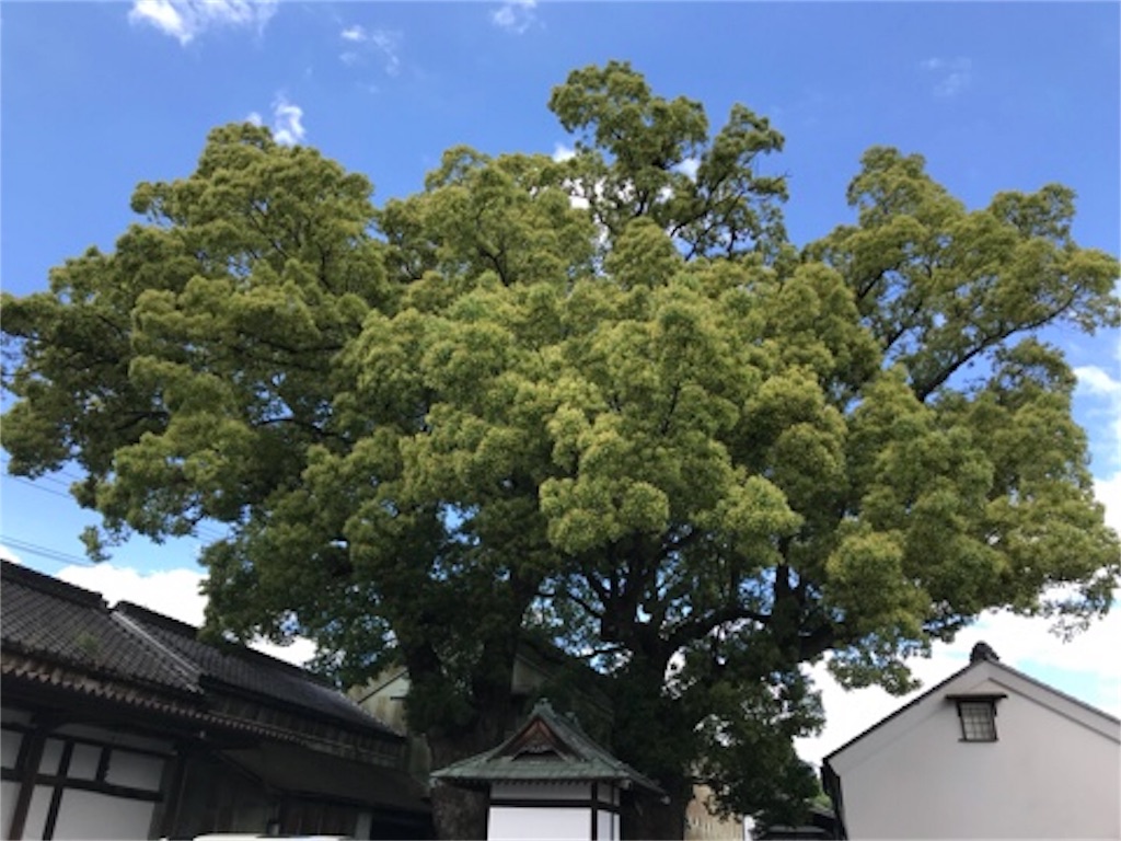 f:id:dragontone:20180523194657j:image f:id:dragontone:20180523194657j:image