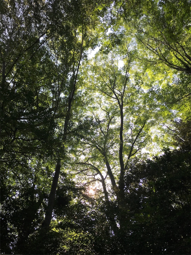 f:id:dragontone:20180622222549j:image