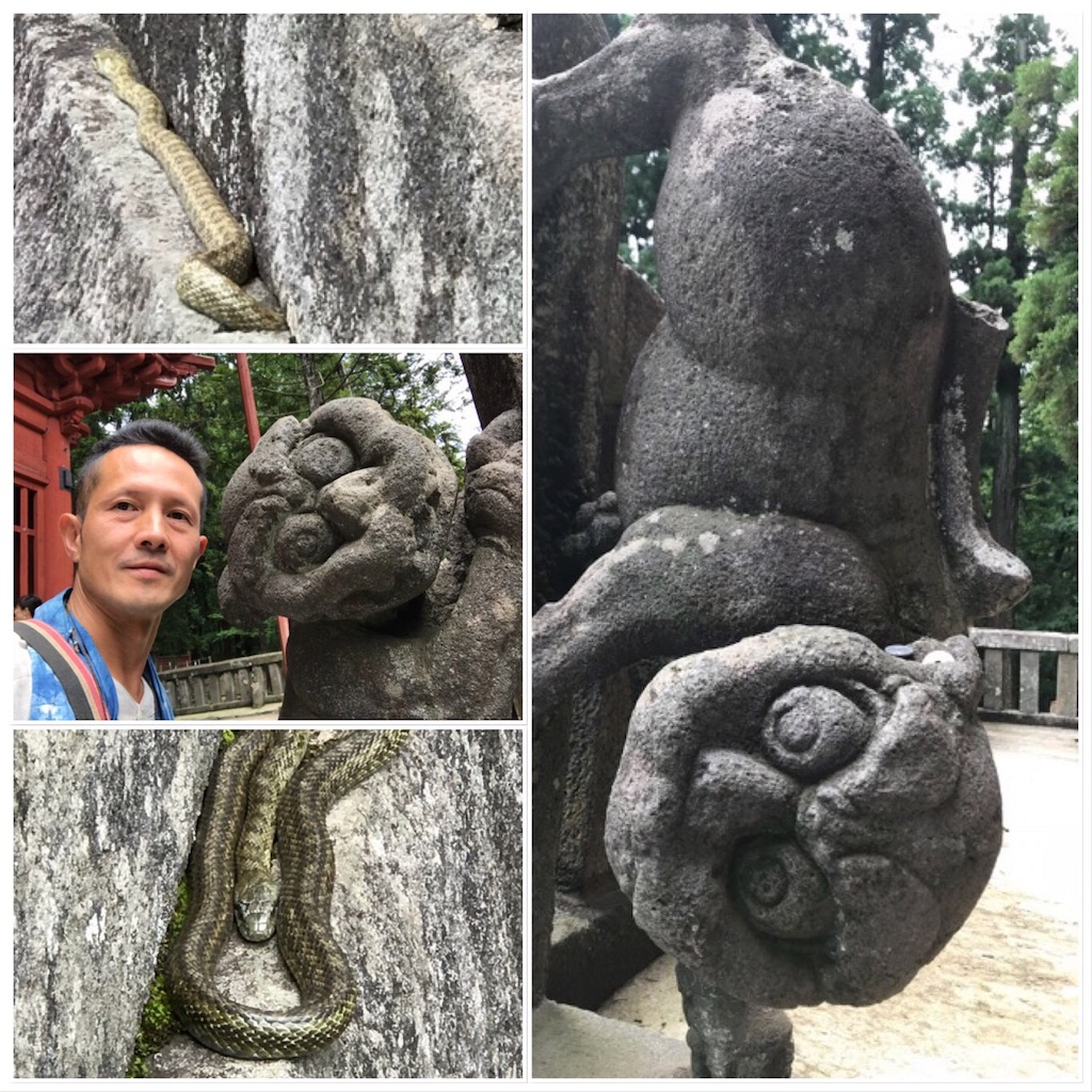 f:id:dragontone:20180712214648j:image f:id:dragontone:20180712214648j:image