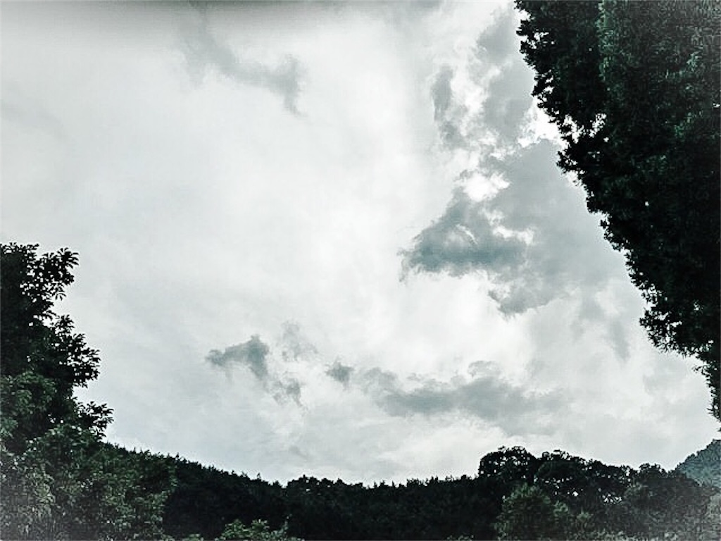 f:id:dragontone:20180803001439j:image