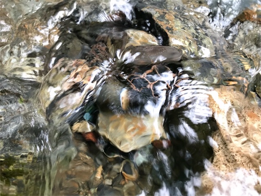 f:id:dragontone:20180803001640j:image