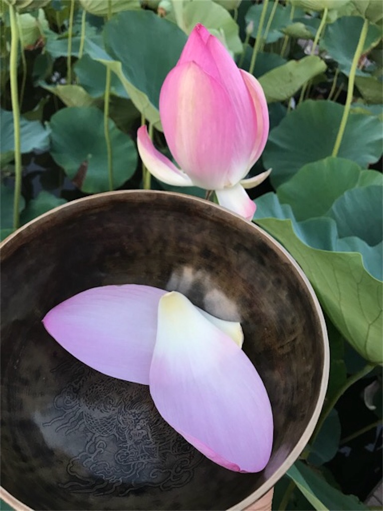 f:id:dragontone:20180813085412j:image