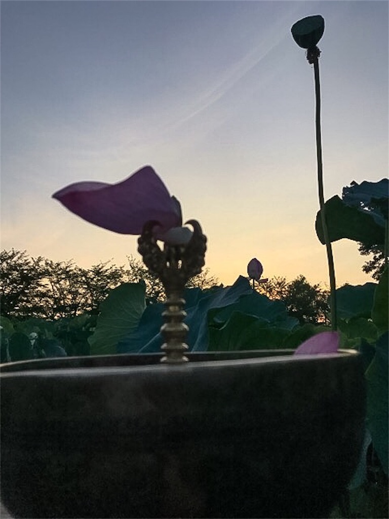 f:id:dragontone:20180813092653j:image