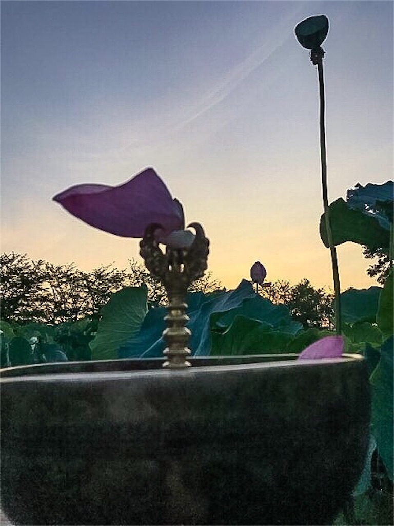 f:id:dragontone:20180930175554j:image