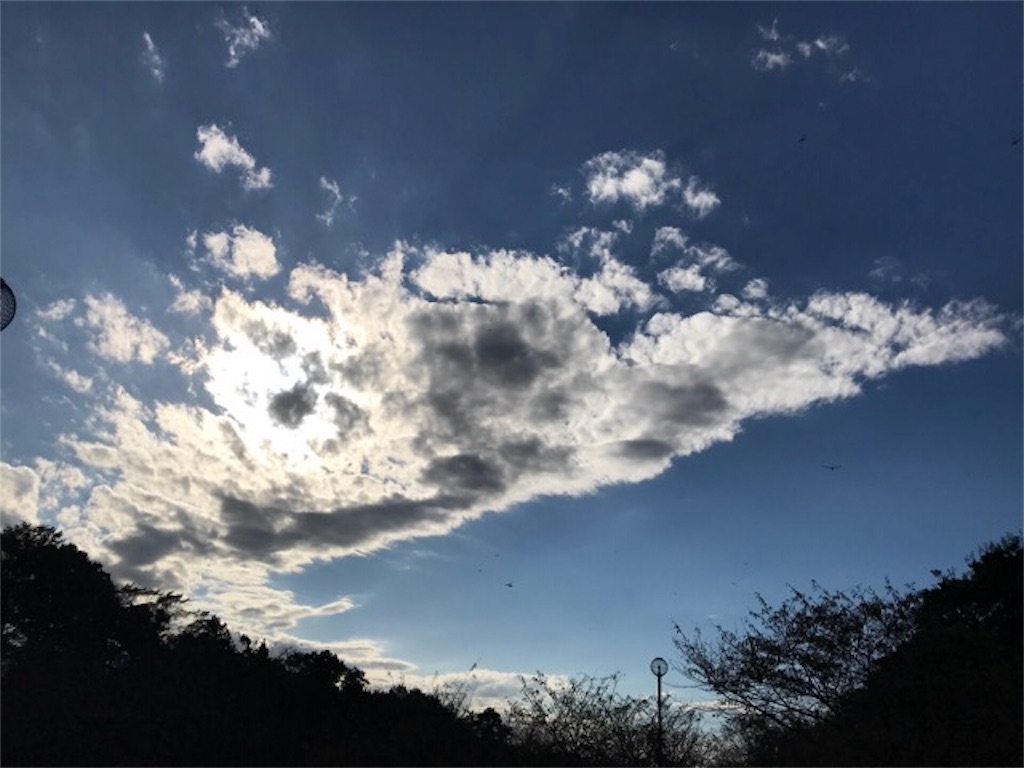f:id:dragontone:20181007210800j:image