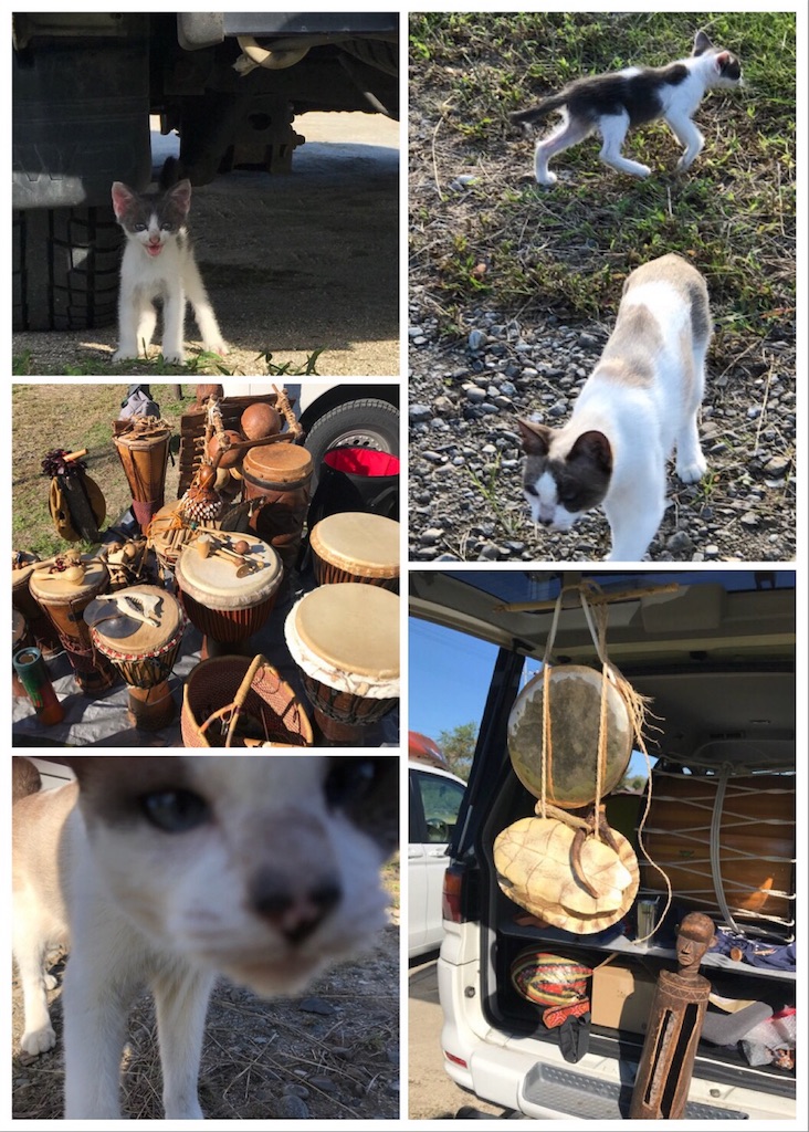 f:id:dragontone:20181007210810j:image