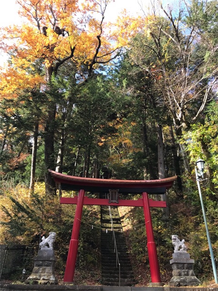 f:id:dragontone:20181109230323j:image f:id:dragontone:20181109230323j:image