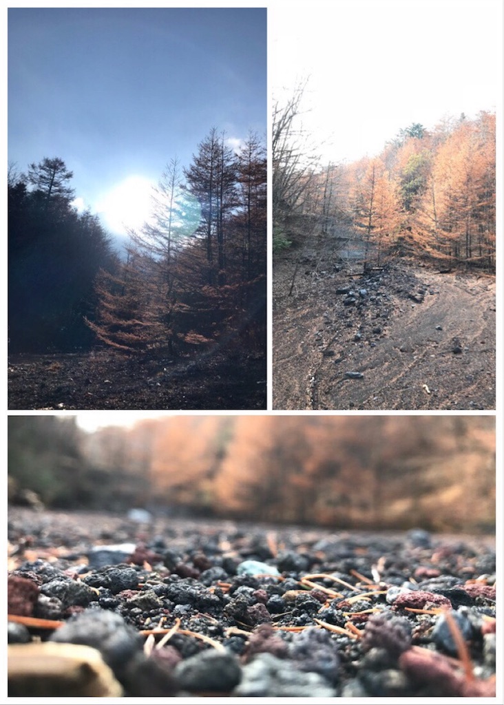 f:id:dragontone:20181109231833j:image