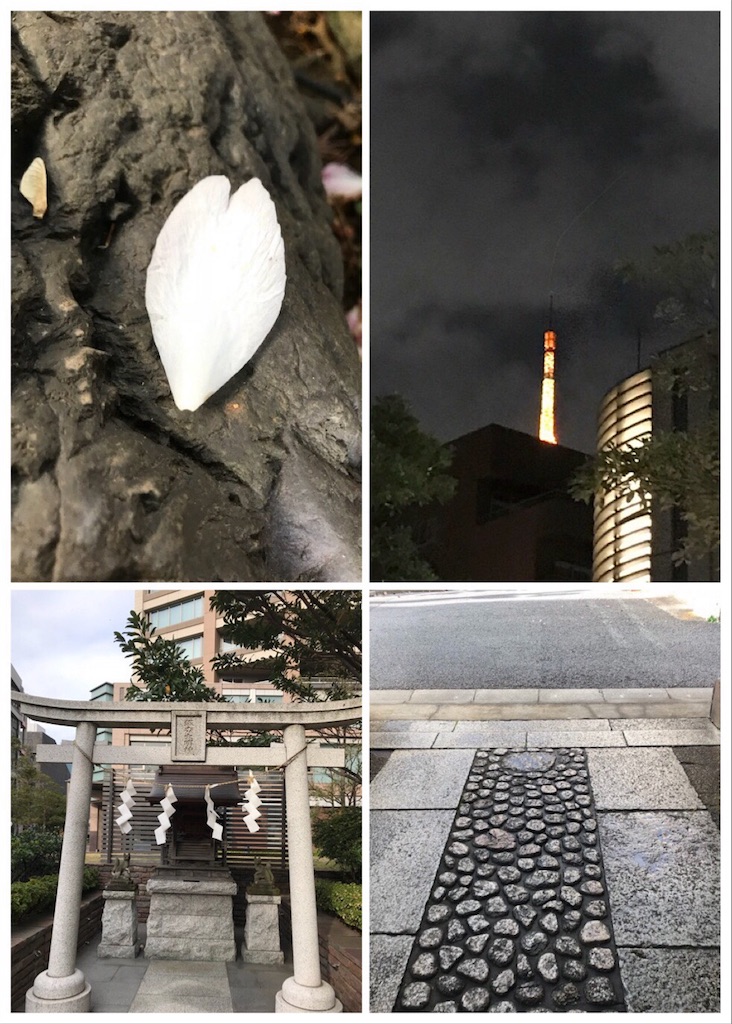 f:id:dragontone:20181127155026j:image