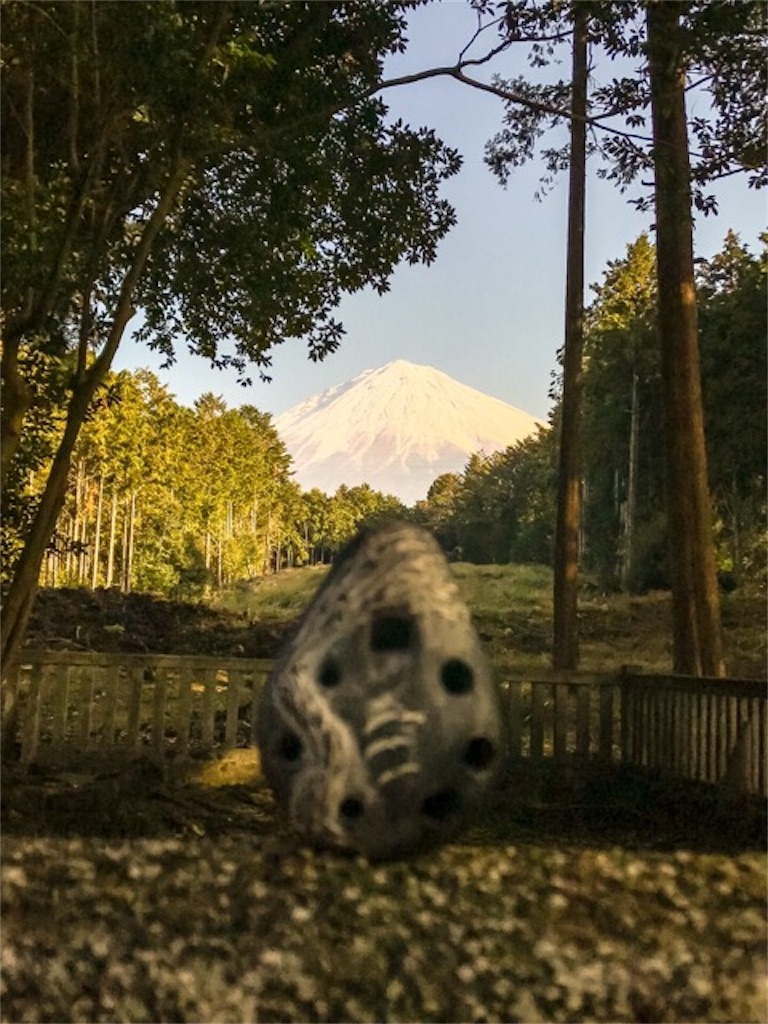 f:id:dragontone:20181224183122j:image