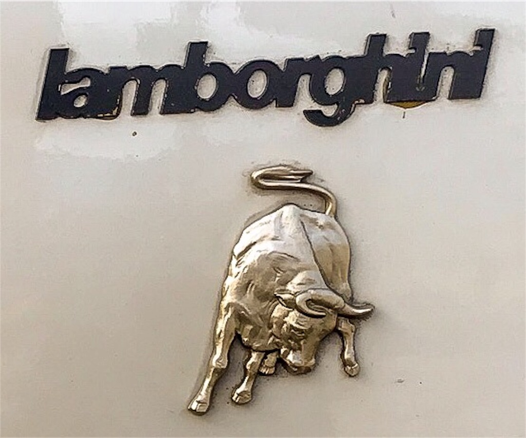 f:id:dragontone:20190112215511j:image f:id:dragontone:20190112215511j:image