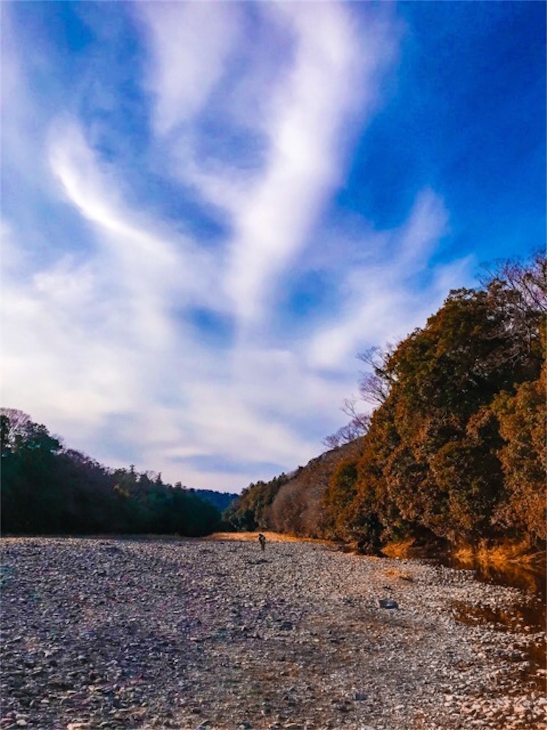 f:id:dragontone:20190119232633j:image f:id:dragontone:20190119232633j:image