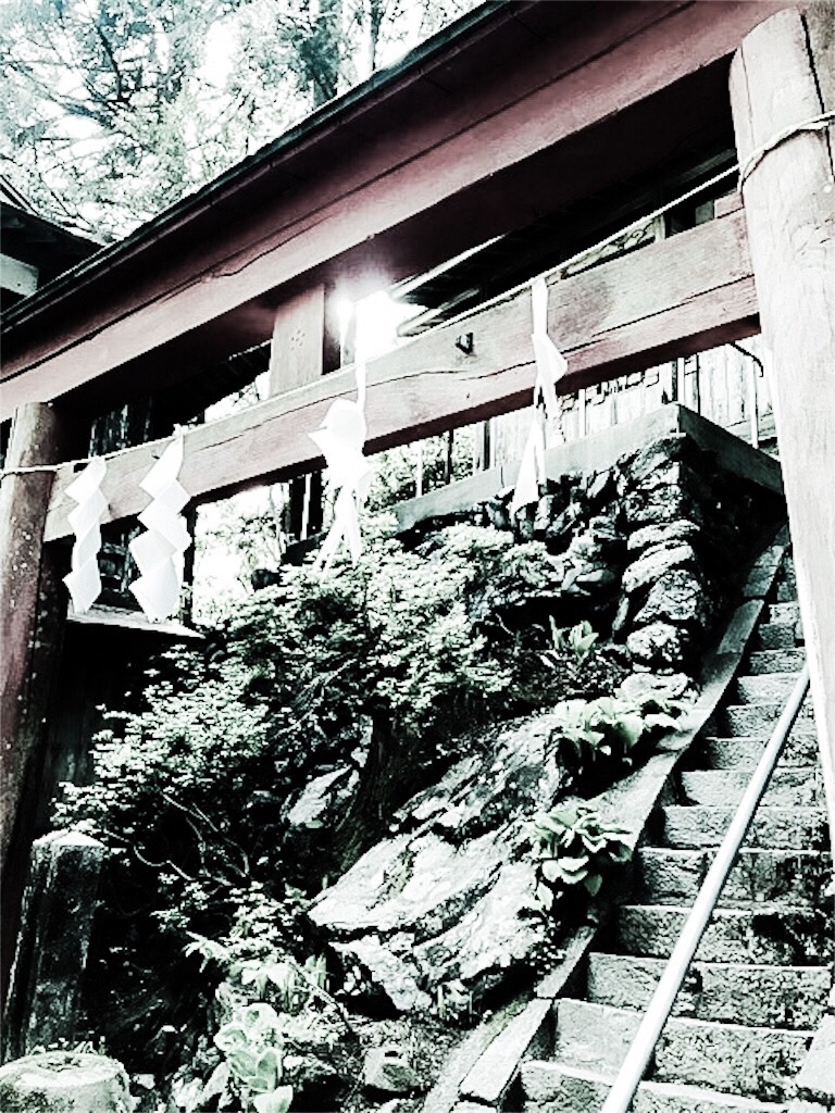f:id:dragontone:20190422225723j:image