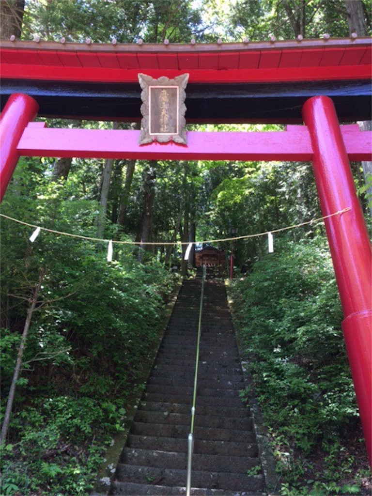 f:id:dragontone:20190528083513j:image f:id:dragontone:20190528083513j:image