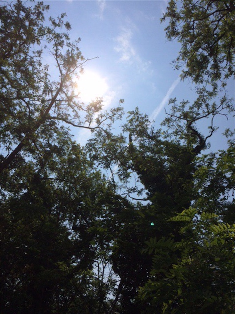 f:id:dragontone:20190605181626j:image f:id:dragontone:20190605181626j:image